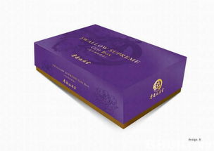 信號工坊 全方位視覺設計服務，助力品牌脫穎而出